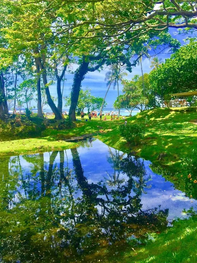 Villa Pua Lani Keaau Ferienhaus